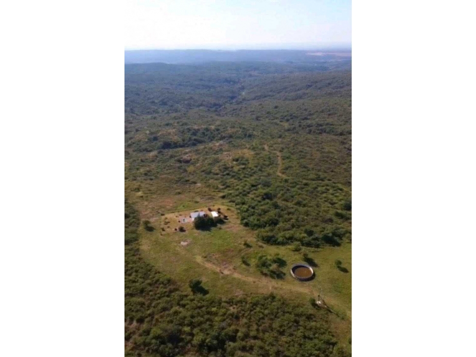 CAMPO 299 HAS, GANADERO, CALAMUCHITA, CORDOBA, ARGENTINA - 1