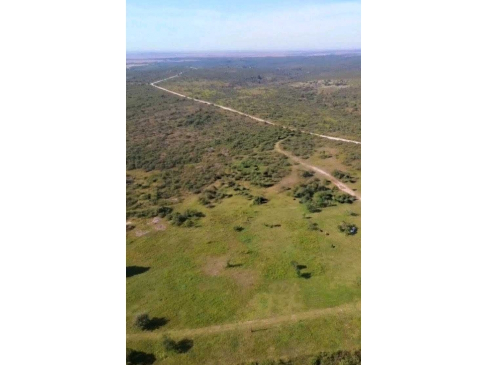 CAMPO 299 HAS, GANADERO, CALAMUCHITA, CORDOBA, ARGENTINA - 3