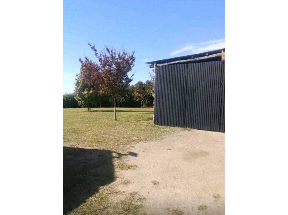 CAMPO 299 HAS, GANADERO, CALAMUCHITA, CORDOBA, ARGENTINA - 5