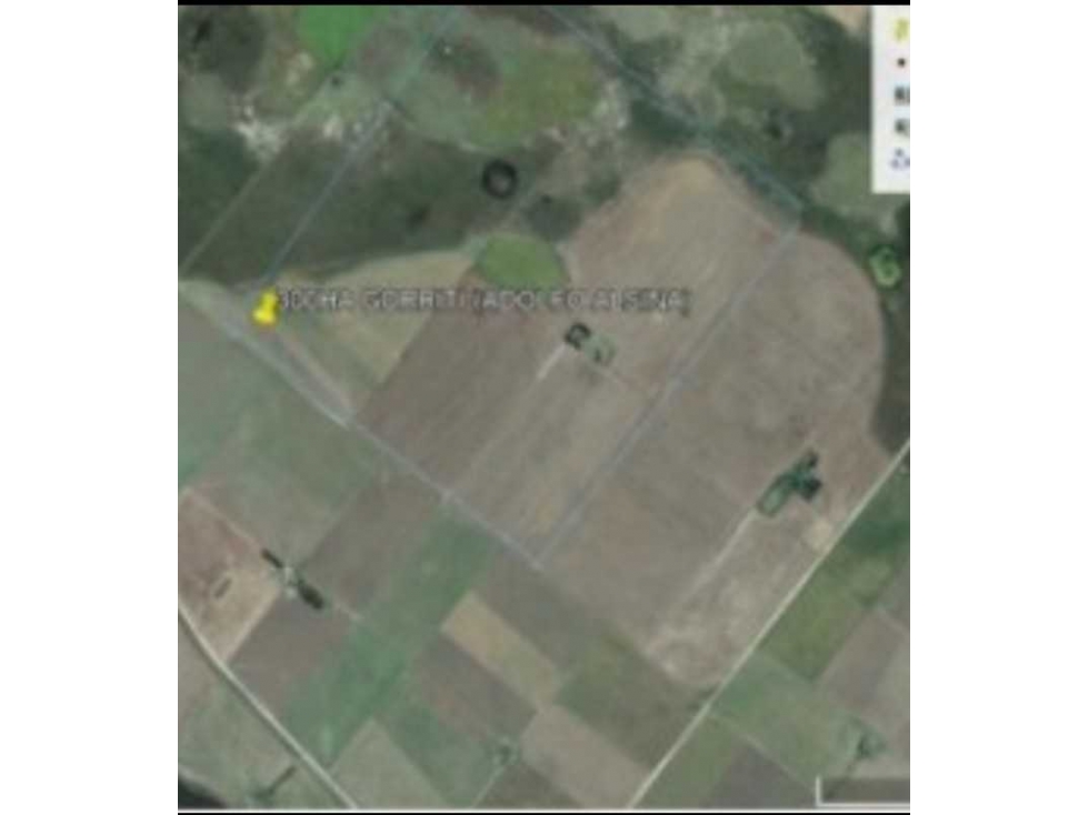 CAMPO 300 HECTAREAS, MIXTO, ADOLFO ALSINA, BUENOS AIRES, ARGENTINA - 5