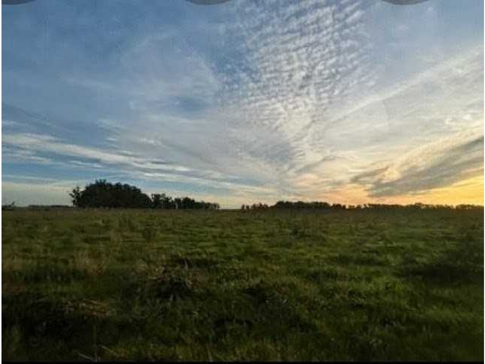 CAMPO 300 HECTAREAS, MIXTO, AYACUCHO, BUENOS AIRES, ARGENTINA - 2