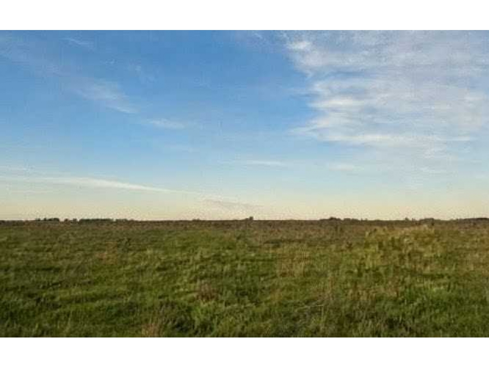 CAMPO 300 HECTAREAS, MIXTO, AYACUCHO, BUENOS AIRES, ARGENTINA - 3