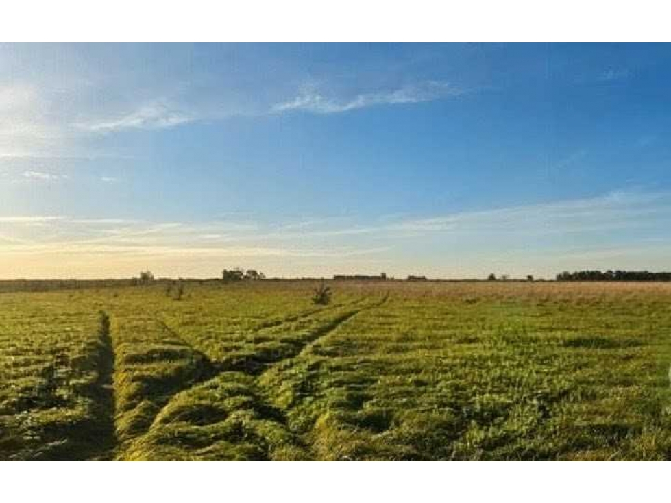 CAMPO 300 HECTAREAS, MIXTO, AYACUCHO, BUENOS AIRES, ARGENTINA - 4