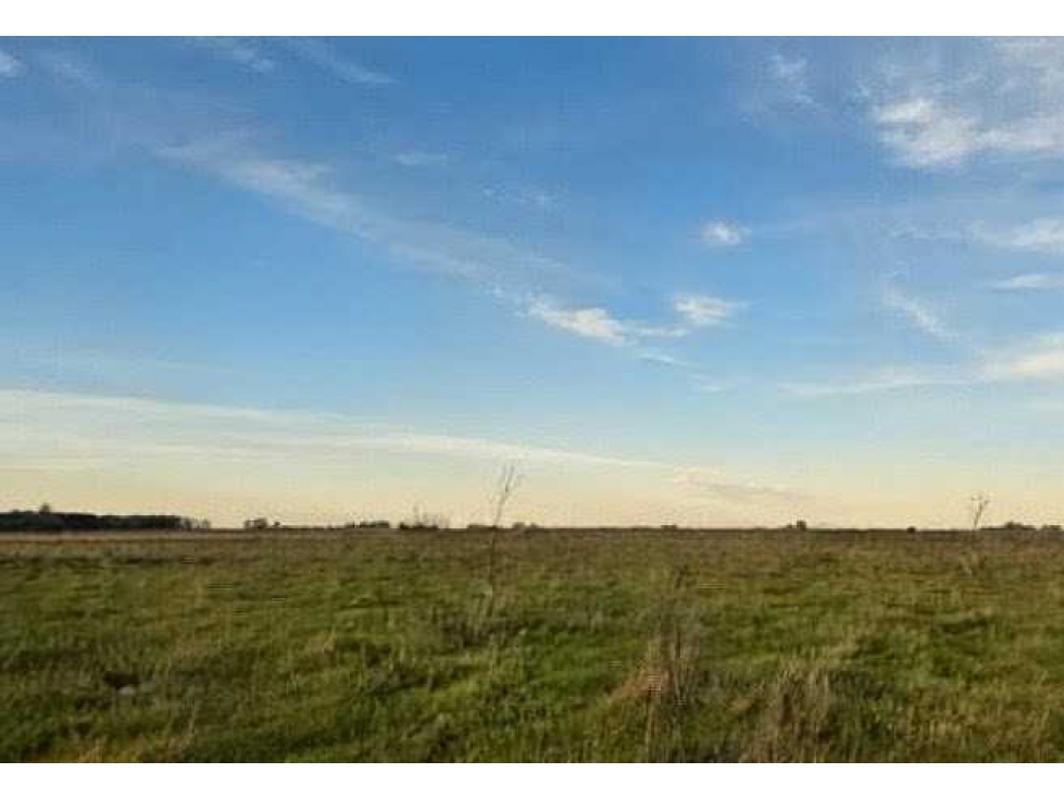 CAMPO 300 HECTAREAS, MIXTO, AYACUCHO, BUENOS AIRES, ARGENTINA - 5