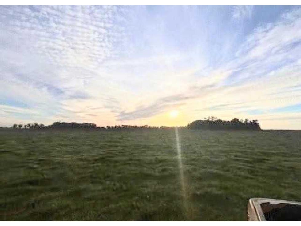 CAMPO 300 HECTAREAS, MIXTO, AYACUCHO, BUENOS AIRES, ARGENTINA - 6