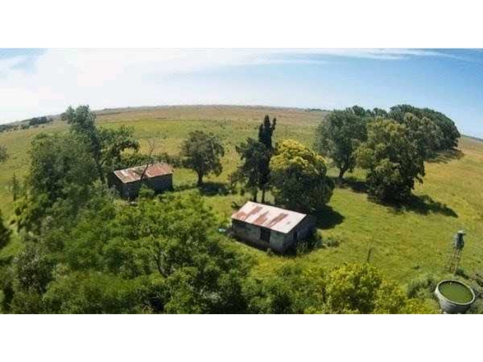 CAMPO 302 HECTAREAS, GANADERO, CHASCOMUS, BUENOS AIRES, ARGENTINA - 3