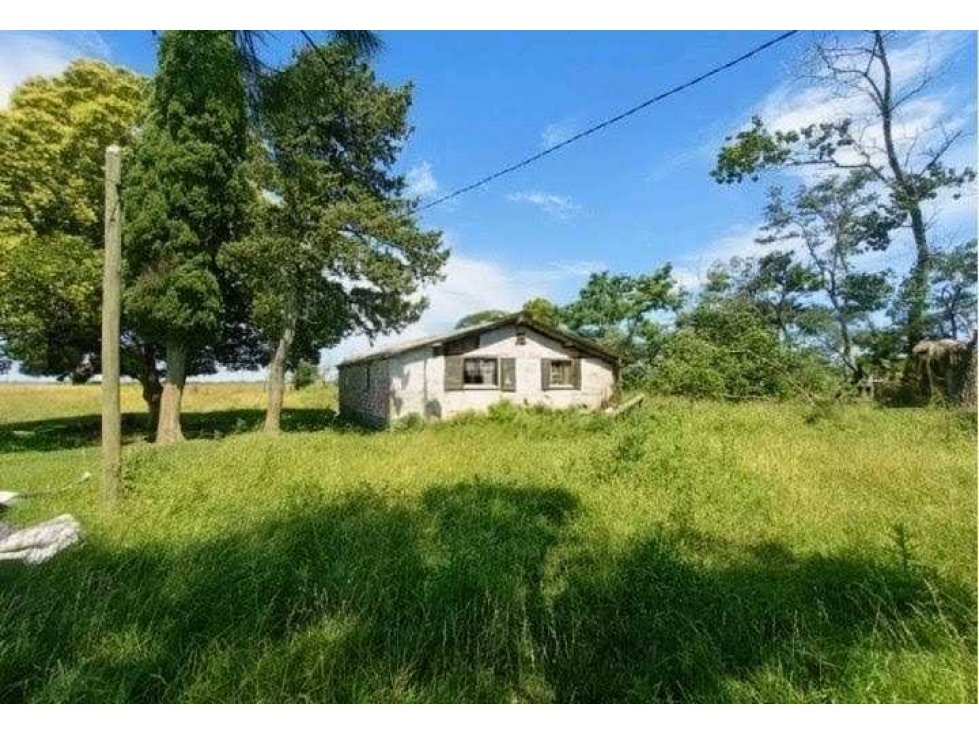 CAMPO 302 HECTAREAS, GANADERO, CHASCOMUS, BUENOS AIRES, ARGENTINA - 4