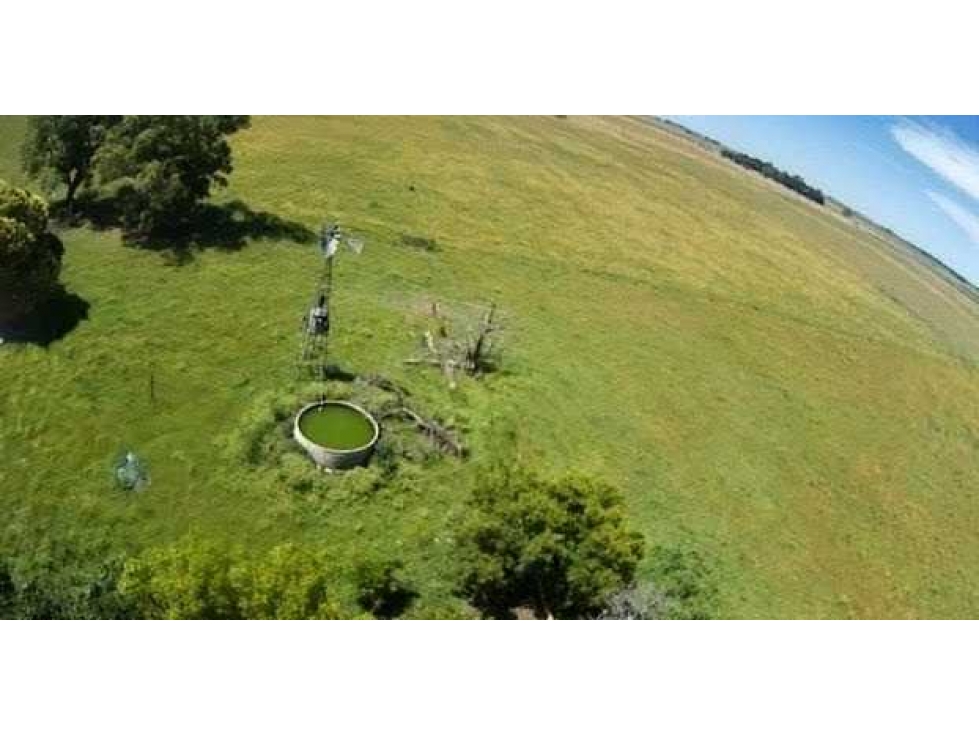 CAMPO 302 HECTAREAS, GANADERO, CHASCOMUS, BUENOS AIRES, ARGENTINA - 6