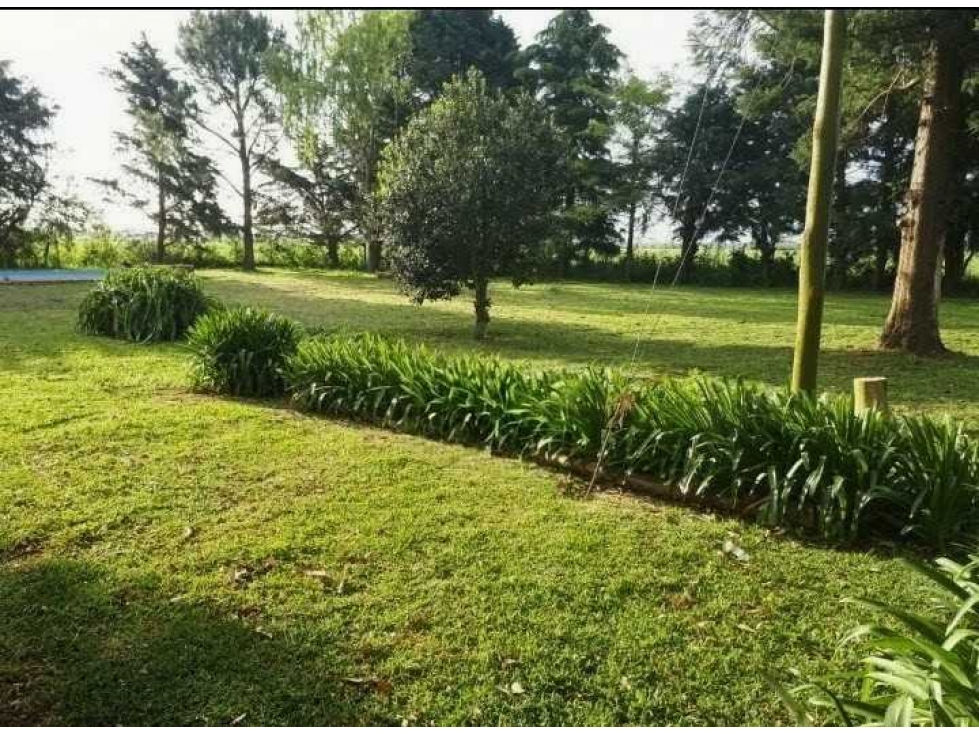 CAMPO 30 HECTAREAS, AGRICOLA, PERGAMINO, BUENOS AIRES, ARGENTINA - 4