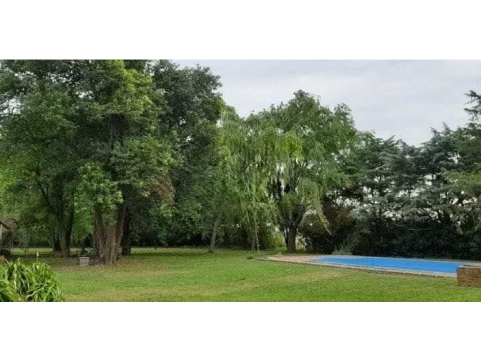 CAMPO 30 HECTAREAS, AGRICOLA, PERGAMINO, BUENOS AIRES, ARGENTINA - 6