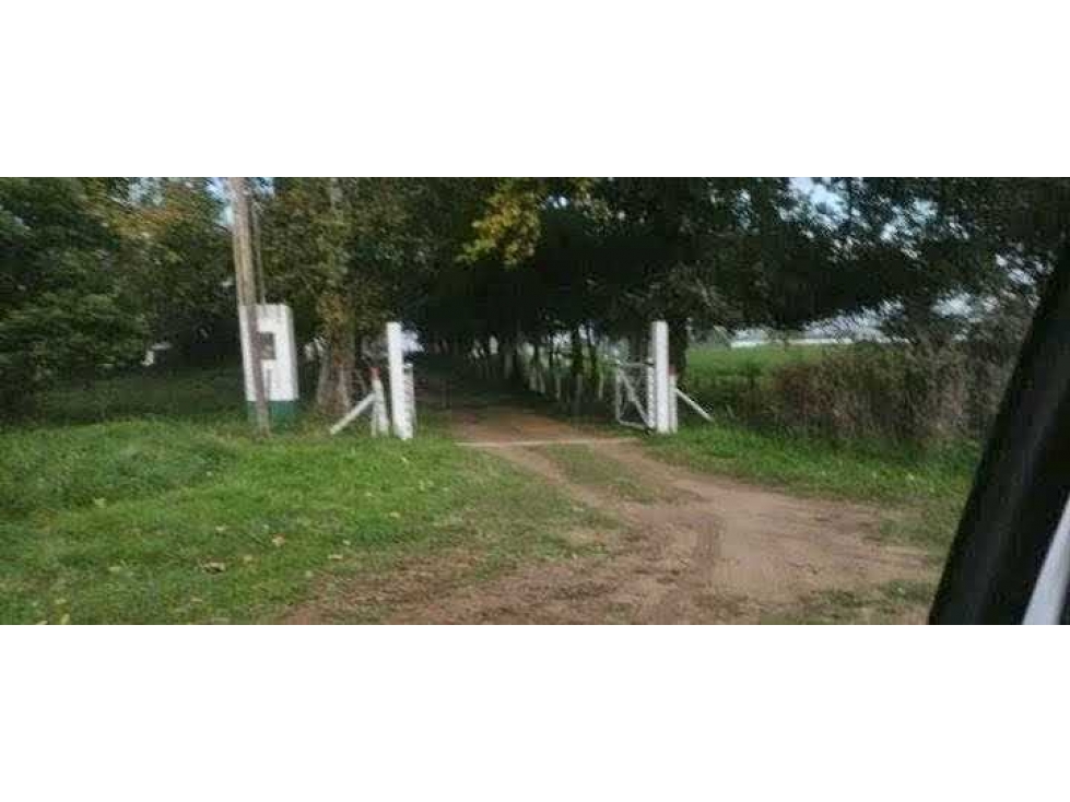 CAMPO 30 HECTAREAS, GANADERO, BOLIVAR, BUENOS AIRES, ARGENTINA - 2