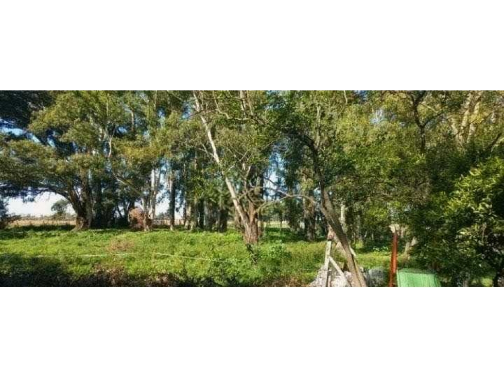 CAMPO 30 HECTAREAS, GANADERO, BOLIVAR, BUENOS AIRES, ARGENTINA - 3
