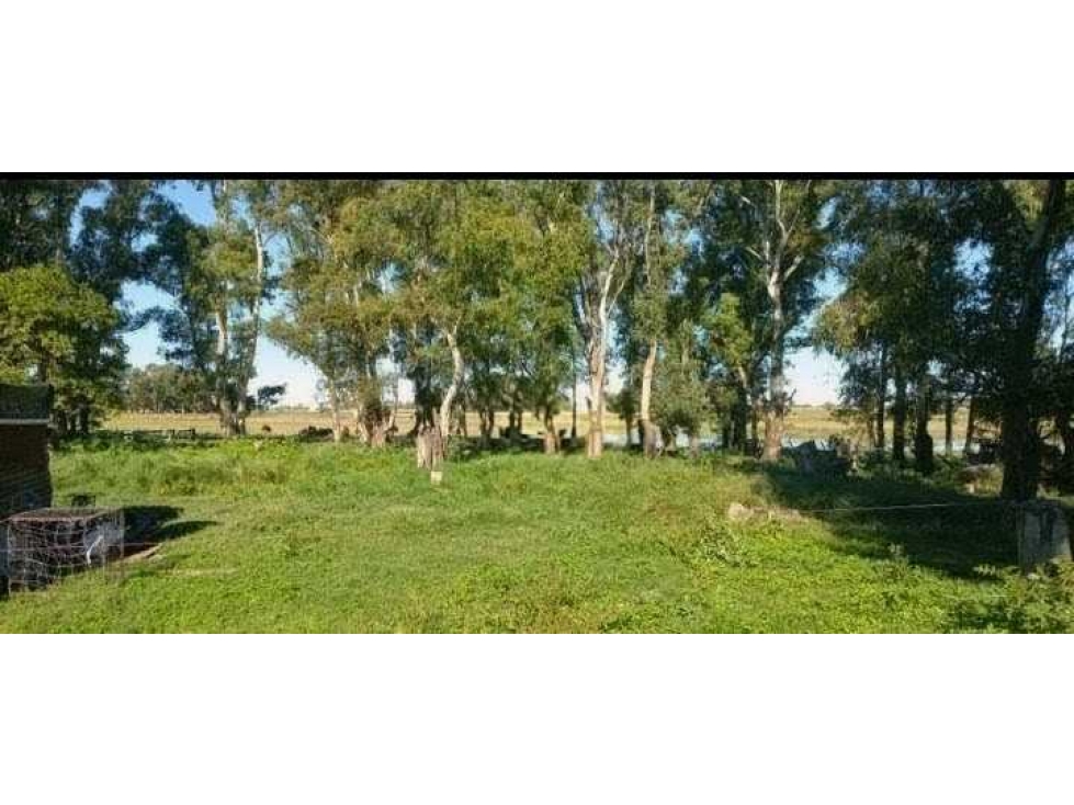 CAMPO 30 HECTAREAS, GANADERO, BOLIVAR, BUENOS AIRES, ARGENTINA - 4