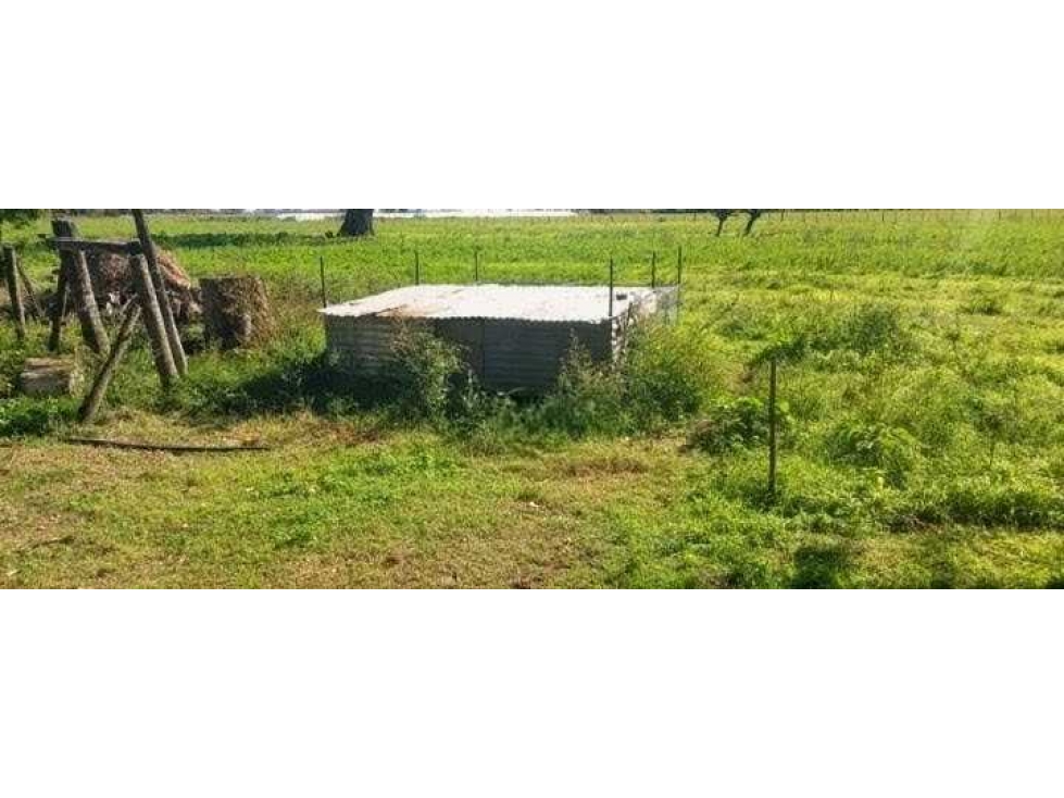 CAMPO 30 HECTAREAS, GANADERO, BOLIVAR, BUENOS AIRES, ARGENTINA - 5