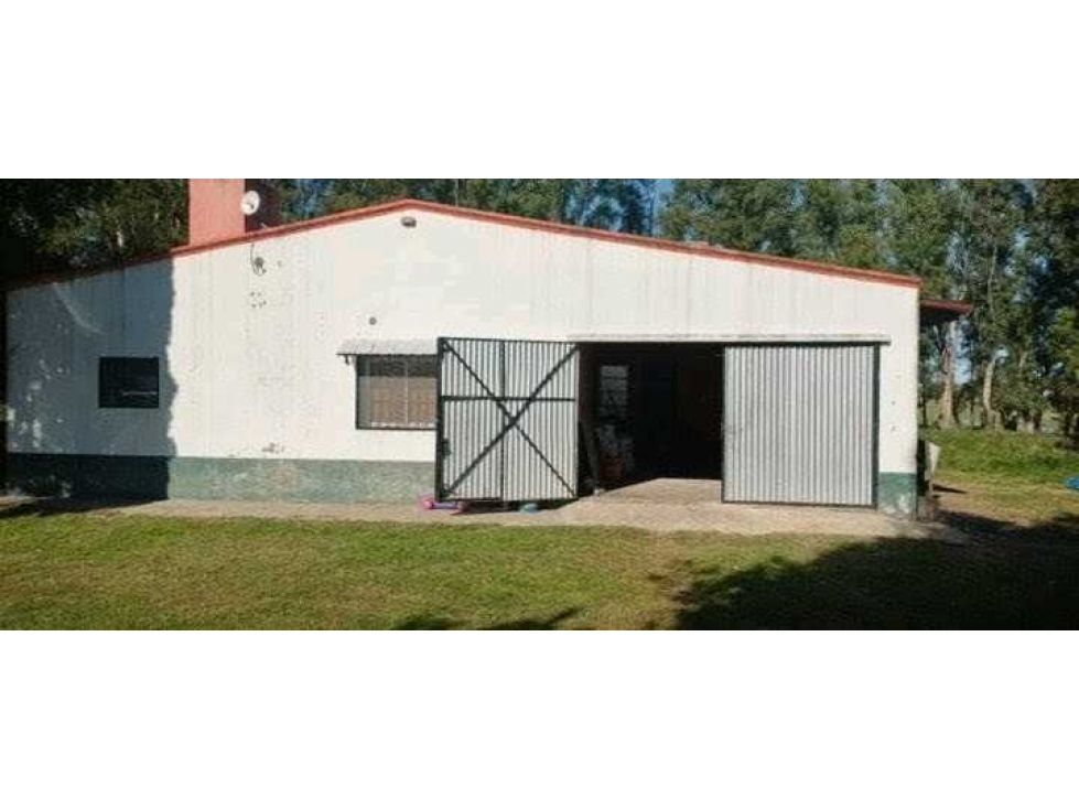 CAMPO 30 HECTAREAS, GANADERO, BOLIVAR, BUENOS AIRES, ARGENTINA - 6