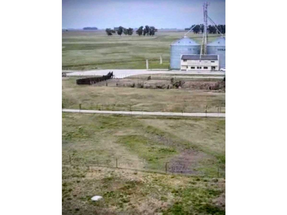 CAMPO 3123, MIXTO, GENERAL ALVEAR, BUENOS AIRES, ARGENTINA - 1