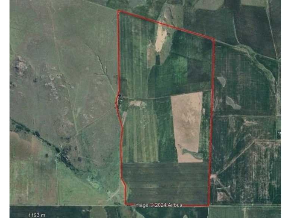 CAMPO 313 HECTAREAS, AGRICOLA, CHAJAN, CORDOBA, ARGENTINA - 4