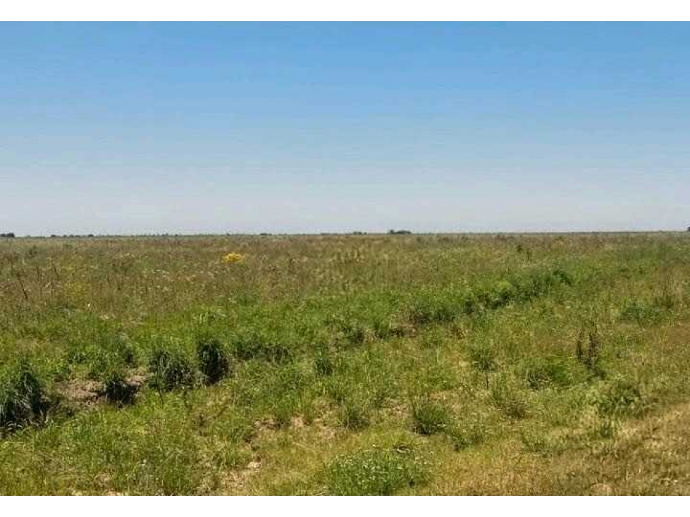 CAMPO 3200 HECTAREAS, MIXTO, CHACO, ARGENTINA - 2