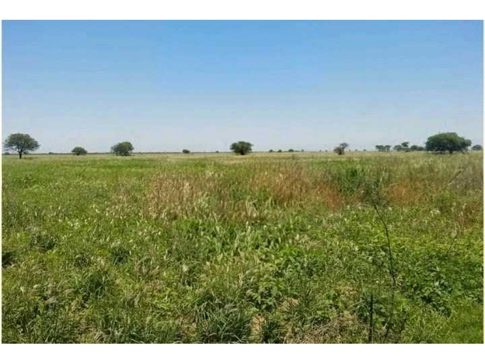 CAMPO 3200 HECTAREAS, MIXTO, CHACO, ARGENTINA - 3
