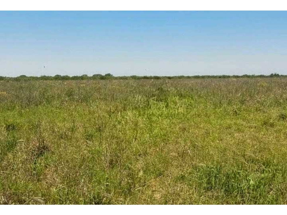 CAMPO 3200 HECTAREAS, MIXTO, CHACO, ARGENTINA - 4