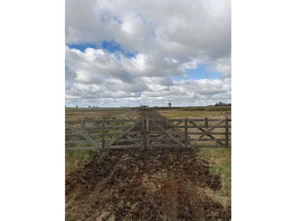 CAMPO 3200 HECTAREAS, MIXTO, CHACO, ARGENTINA - 5
