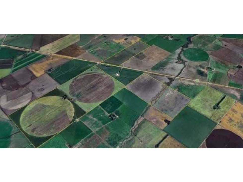 CAMPO 320 HECTAREAS, AGRICOLA, SALTO, BUENOS AIRES, ARGENTINA - 3