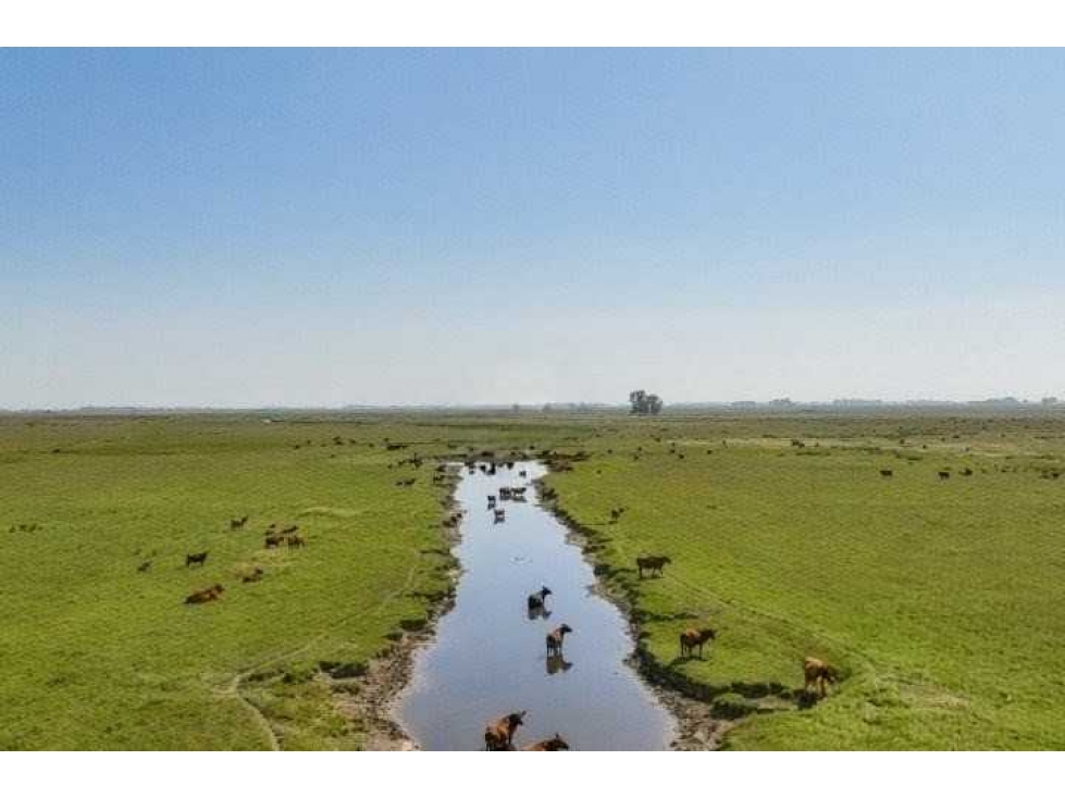 CAMPO 3275 HECTAREAS,GANADERO, GENERAL ALVEAR, BUENOS AIRES, ARGENTINA - 1