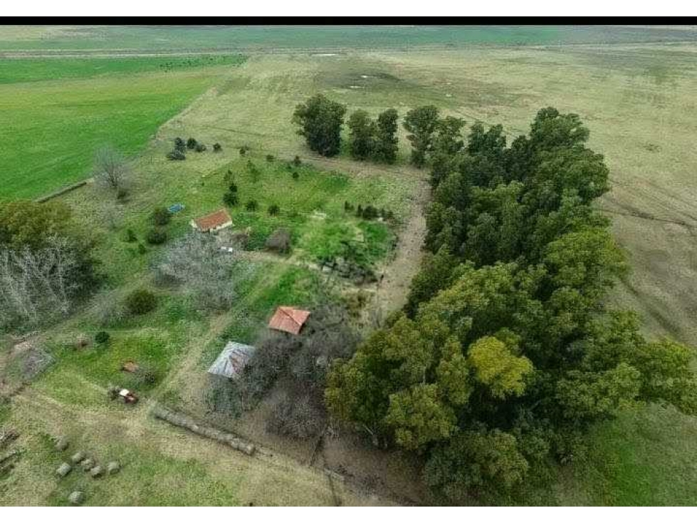 CAMPO 328 HECTAREAS MIXTO, COLMAN, RAUCH, BUENOS AIRES, ARGENTINA - 1