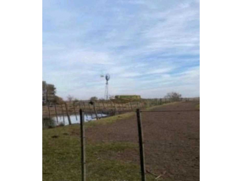 CAMPO 3290 HECTAREAS MIXTAS EN CARLOS TEJEDOR, BUENOS AIRES, ARGENTINA - 5