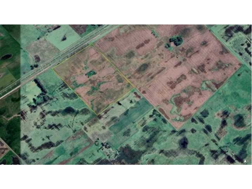 CAMPO 32 HAS, AGRÍCOLAS, BOLÍVAR, BUENOS AIRES, ARGENTINA - 2