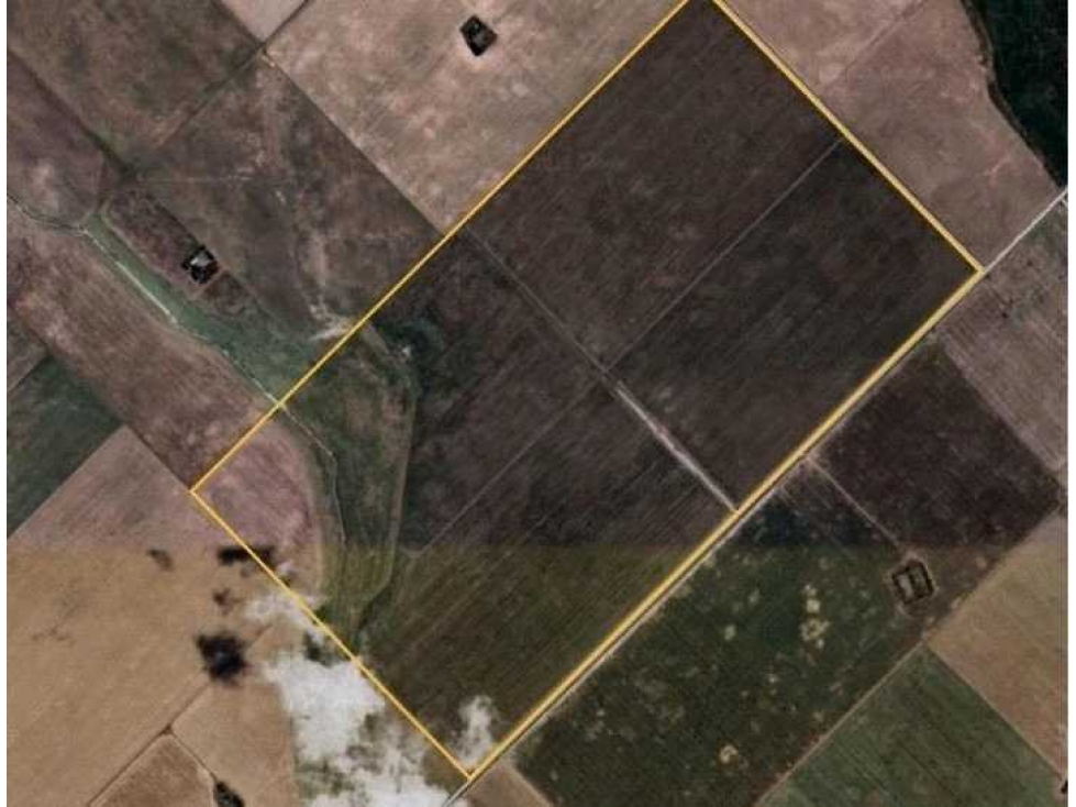 CAMPO 332 HECTAREAS, MIXTO, CORONEL DORREGO - 2