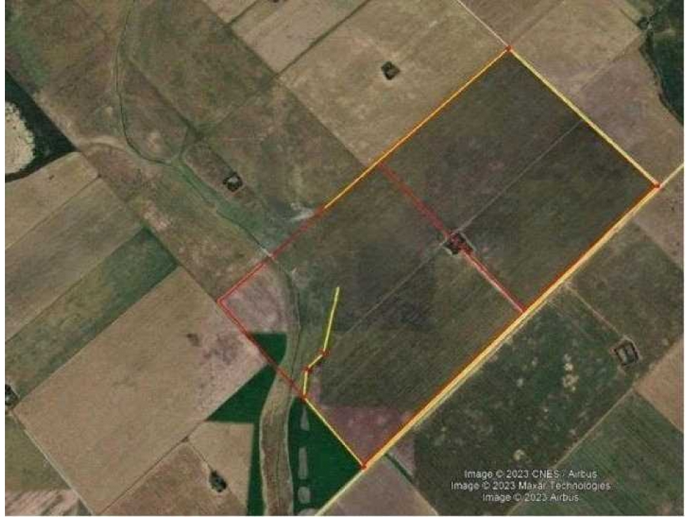 CAMPO 332 HECTAREAS, MIXTO, CORONEL DORREGO - 3