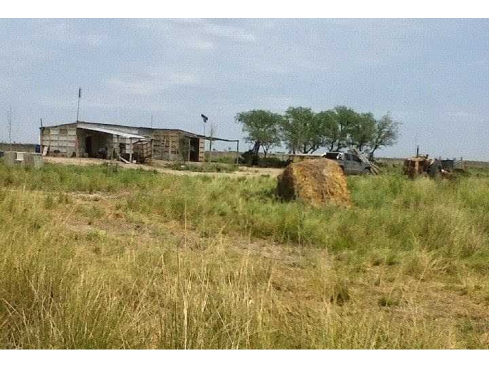 CAMPO 3400 HECTAREAS, GANADERO, SANTA FE, ARGENTINA - 4