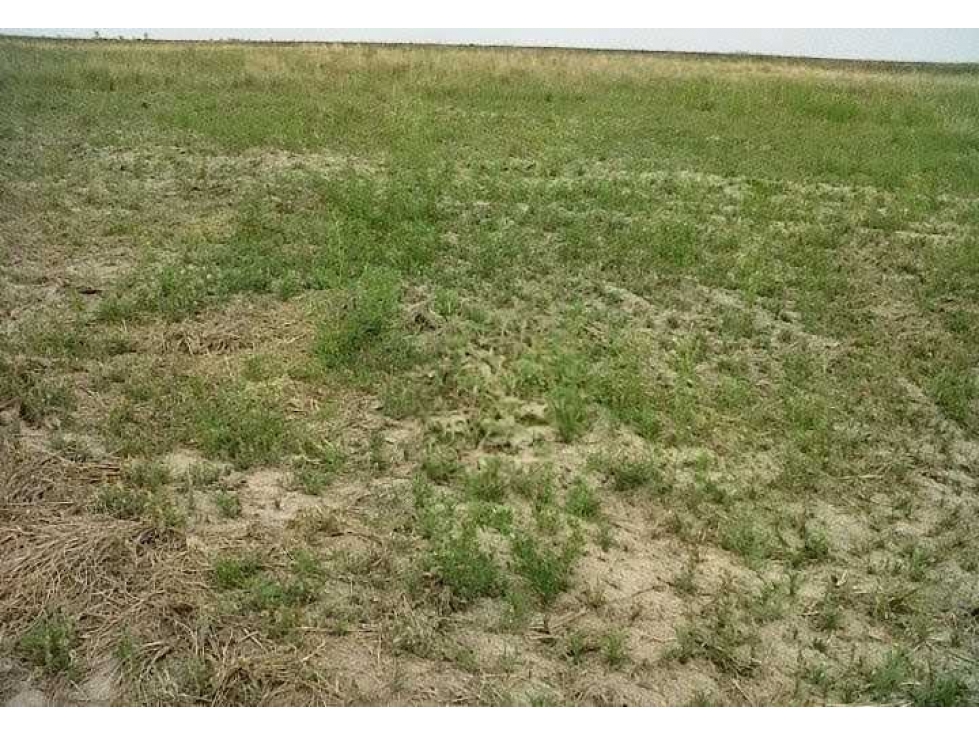 CAMPO 3400 HECTAREAS, GANADERO, SANTA FE, ARGENTINA - 6
