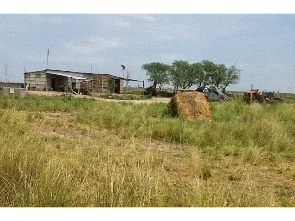 CAMPO 3400 HECTAREAS, GANADERO, CERES, SANTA FE, ARGENTINA - 5