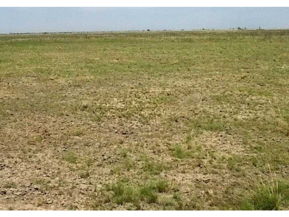 CAMPO 3400 HECTAREAS, GANADERO, CERES, SANTA FE, ARGENTINA - 6