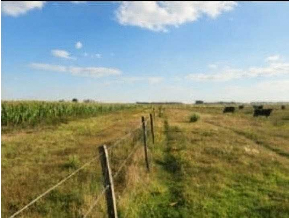 CAMPO 342 HAS, SAN MIGUEL DEL MONTE, BUENOS AIRES,ARGENTINA - 1