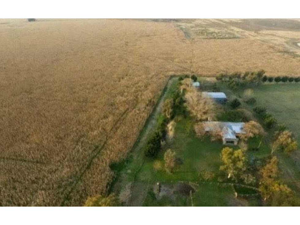 CAMPO 342 HAS, SAN MIGUEL DEL MONTE, BUENOS AIRES,ARGENTINA - 2