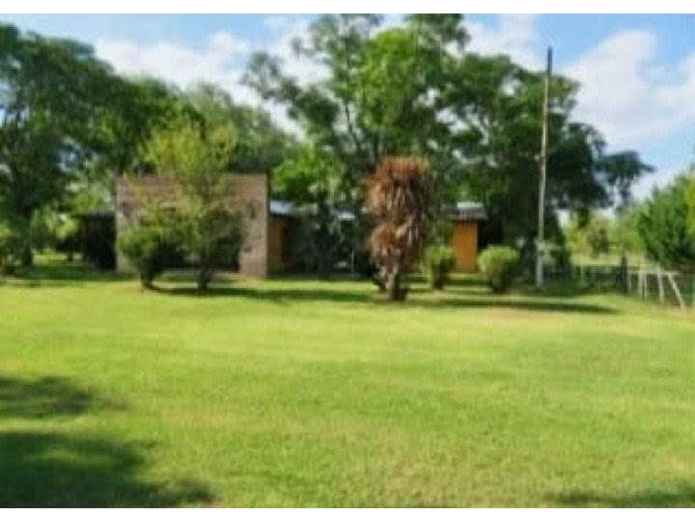 CAMPO 342 HAS, SAN MIGUEL DEL MONTE, BUENOS AIRES,ARGENTINA - 3