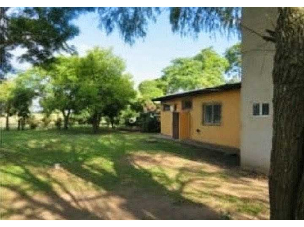 CAMPO 342 HAS, SAN MIGUEL DEL MONTE, BUENOS AIRES,ARGENTINA - 6