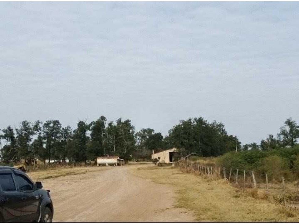 CAMPO 360 HECTAREAS, AGRICOLA, TOSTADO, SANTA FE, ARGENTINA - 2