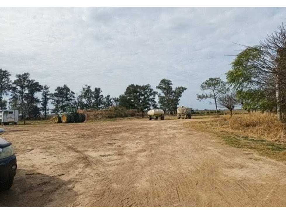 CAMPO 360 HECTAREAS, AGRICOLA, TOSTADO, SANTA FE, ARGENTINA - 3