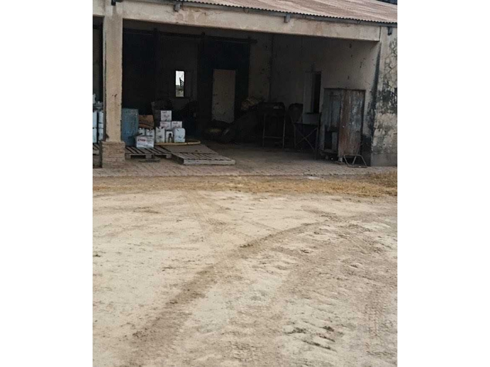 CAMPO 360 HECTAREAS, AGRICOLA, TOSTADO, SANTA FE, ARGENTINA - 5