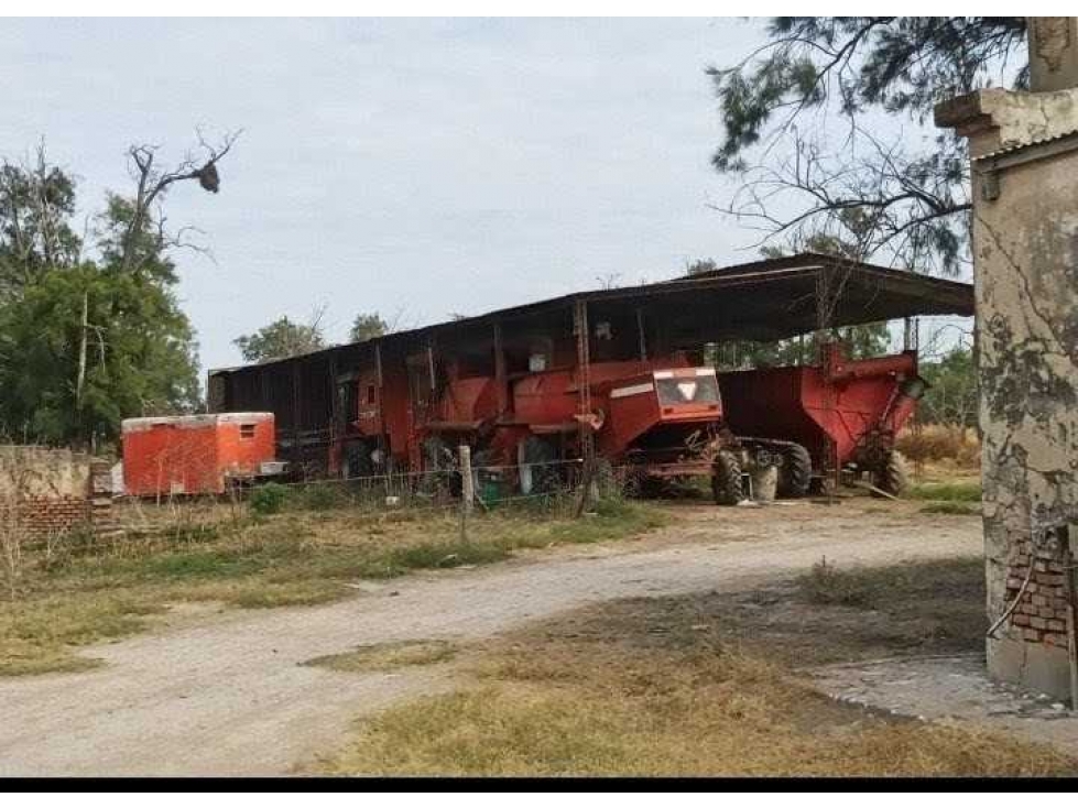 CAMPO 360 HECTAREAS, AGRICOLA, TOSTADO, SANTA FE, ARGENTINA - 6