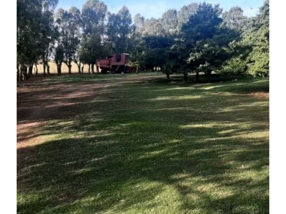 CAMPO 360 HECTAREAS MIXTAS, TORQUINS, BUENOS AIRES, ARGENTINA - 3