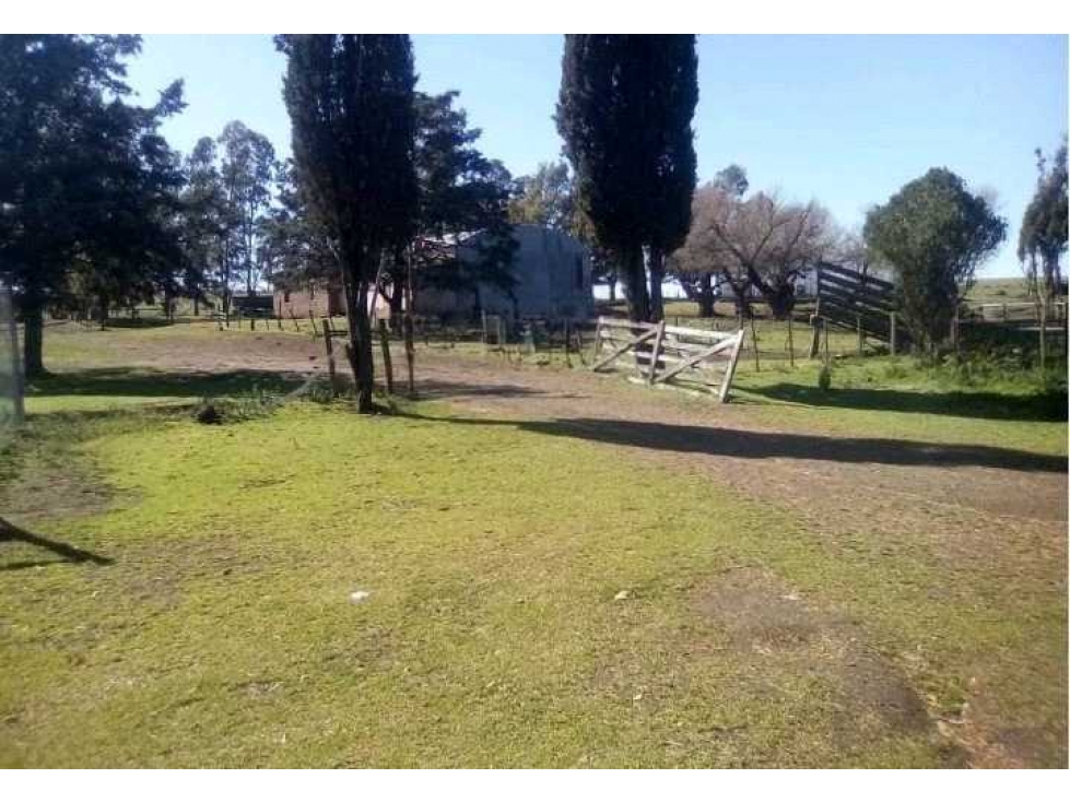 CAMPO 360 HECTAREAS MIXTAS, TORQUINS, BUENOS AIRES, ARGENTINA - 6