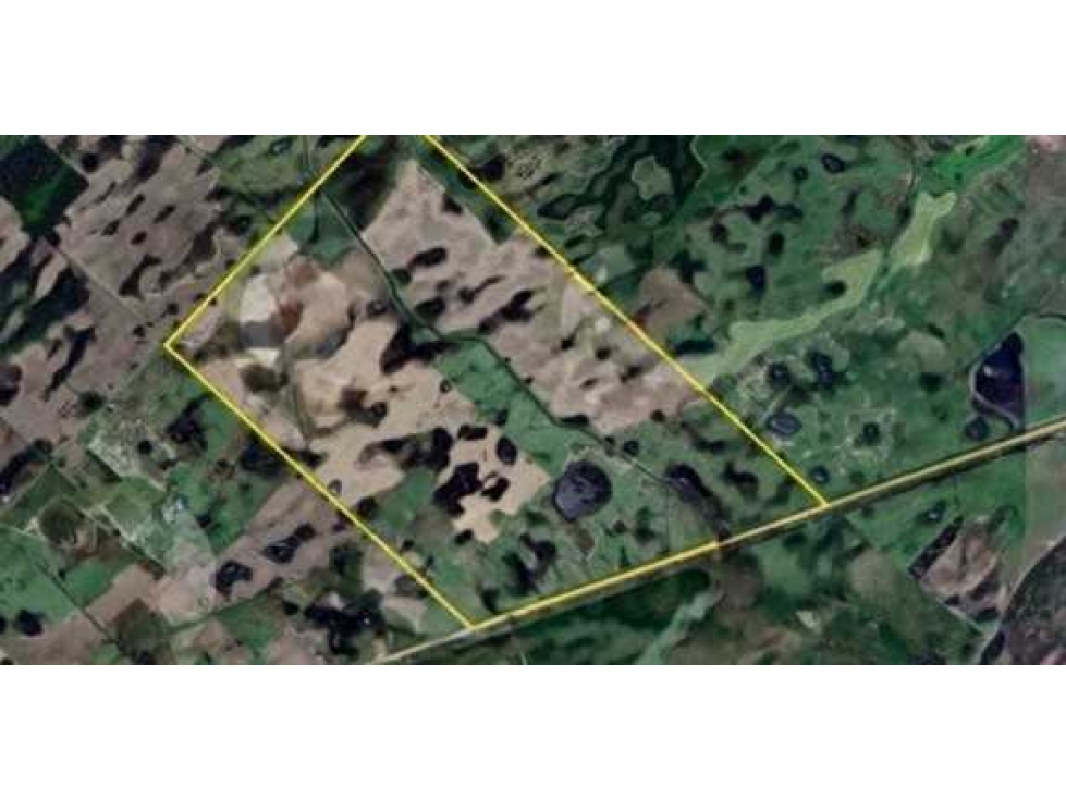 CAMPO 370 HECTAREAS, MIXTAS, BOLIVAR, BUENOS AIRES, ARGENTINA - 2