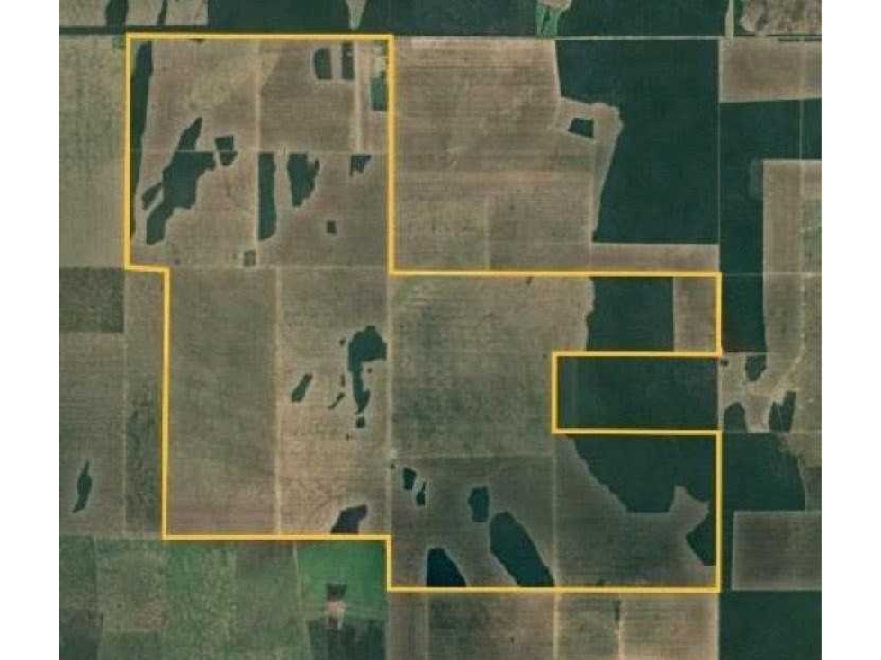 CAMPO 3750 HAS, AGRICOLA, TOBAS, SANTIAGO DEL ESTERO, ARGENTINA - 4