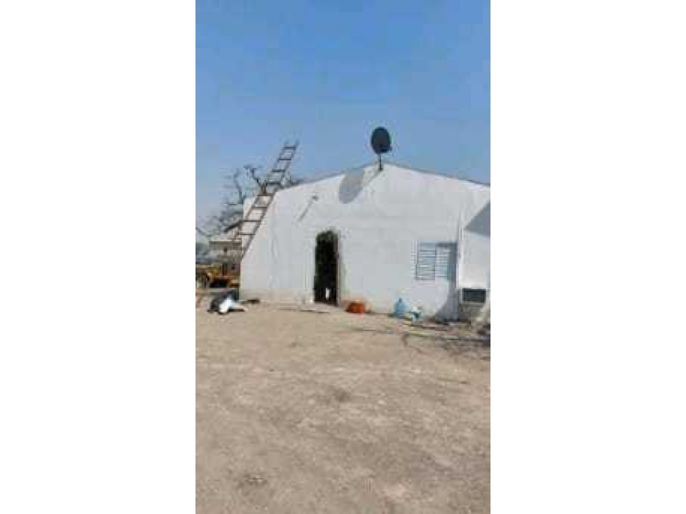 CAMPO 3750 HAS AGRICOLAS, GATO COLORADO, SANTA FE, ARGENTINA - 3