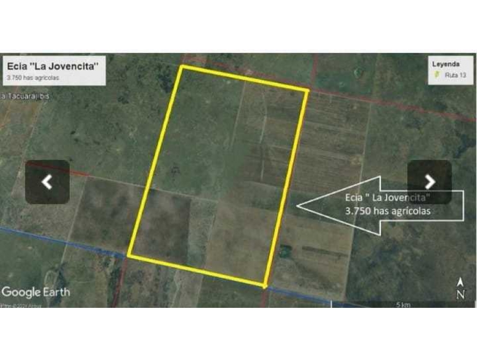 CAMPO 3750 HAS AGRICOLAS, GATO COLORADO, SANTA FE, ARGENTINA - 5